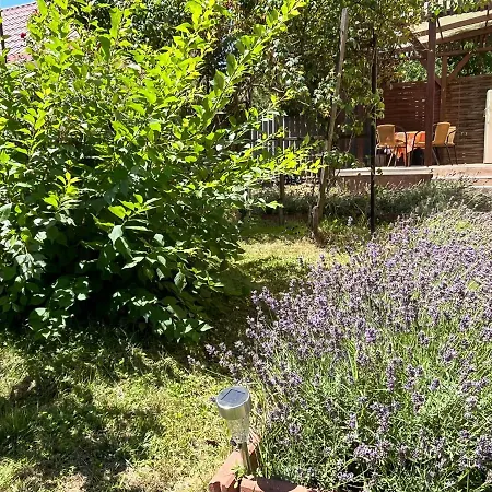 Rose Garden Σίοφοκ