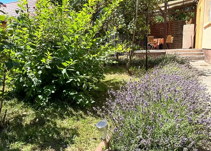 Rose Garden Σίοφοκ